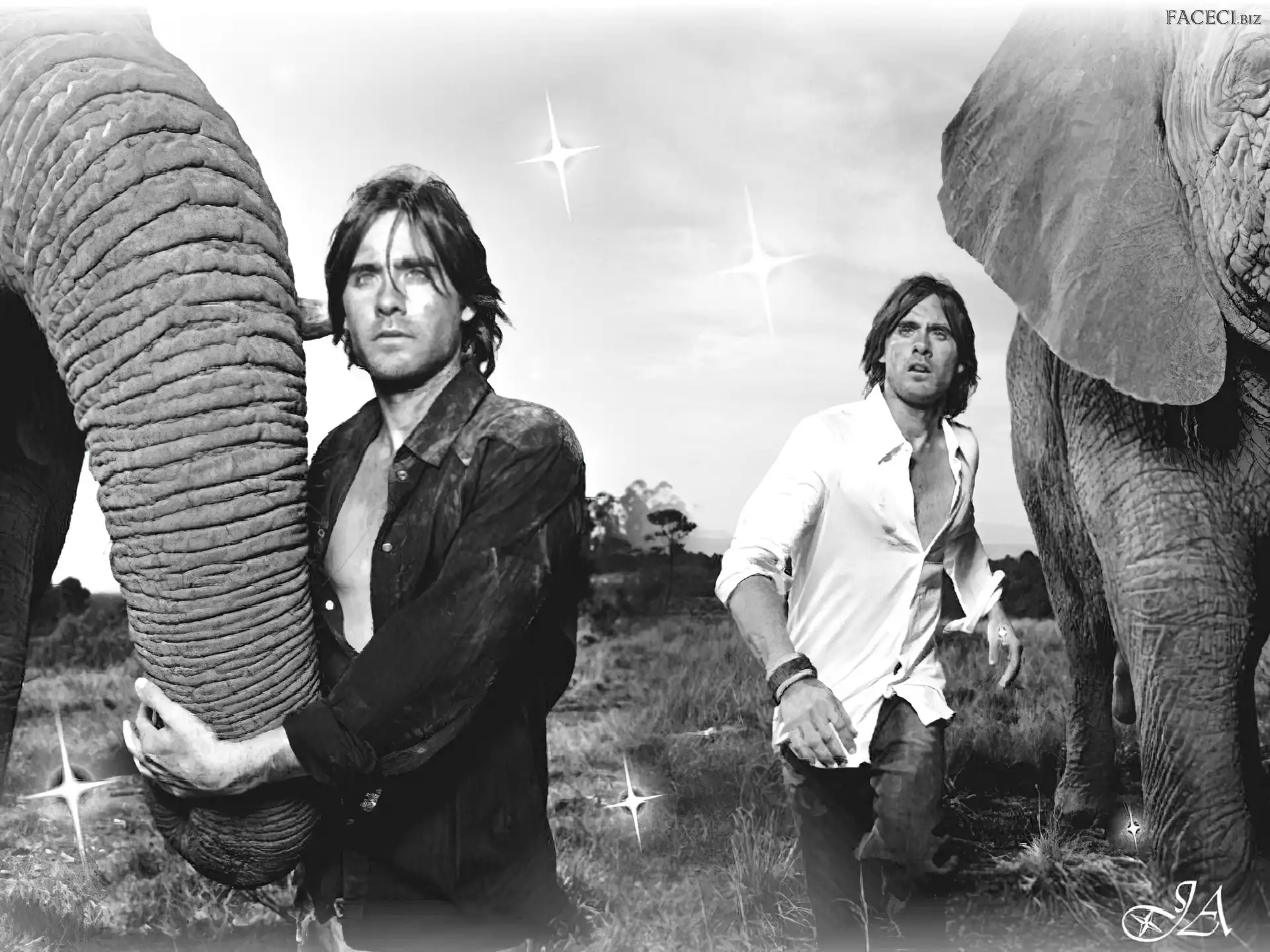 trąba, Jared Leto, słoń